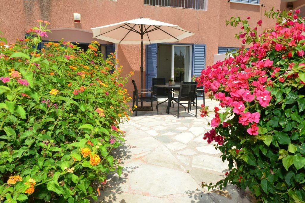 Limnaria Villas Sunny Garden Apartment Paphos Esterno foto